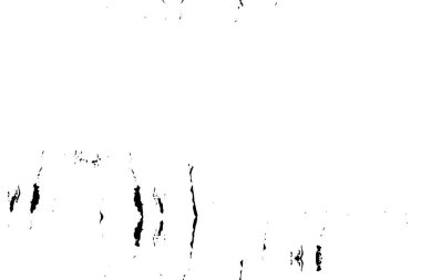 Siyah beyaz grunge deseni. Toz dokusu arkaplanı