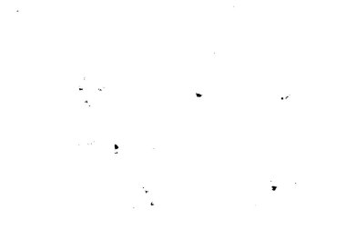 Çizikler de dahil. soyut siyah beyaz duvar kağıdı