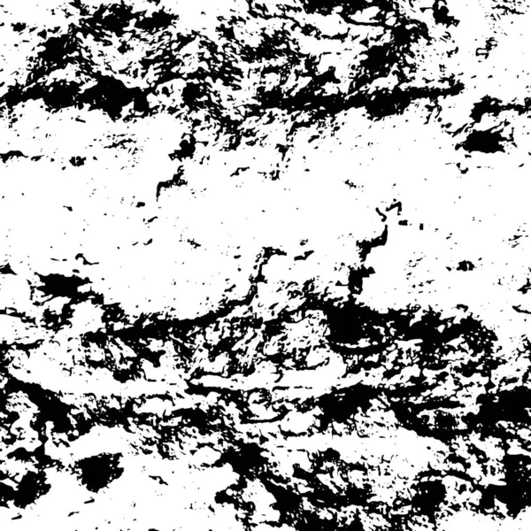 Μαύρο Και Άσπρο Φόντο Μονόχρωμη — Διανυσματικό Αρχείο