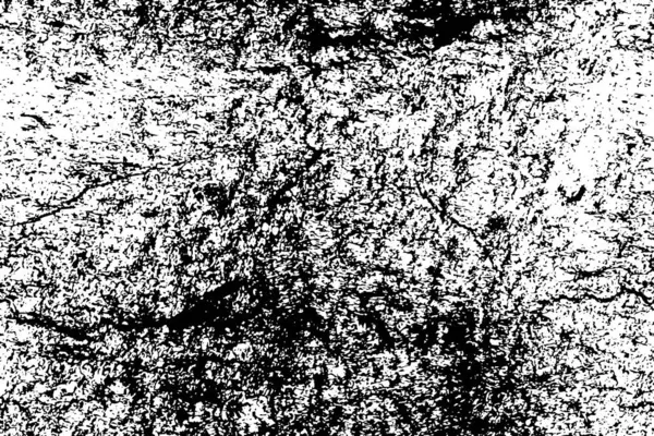 Schwarz Weißer Monochromer Hintergrund — Stockvektor