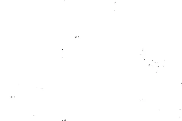 Texturierte Schwarz Weiß Grafik Mit Flecken — Stockvektor