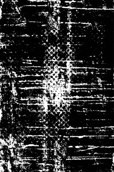 Conception Monochrome Grunge Avec Peinture Rayures — Image vectorielle