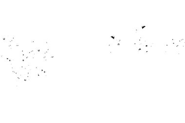 Soyut desenli arka plan. Resim siyah ve beyaz tonların efektini içerir.