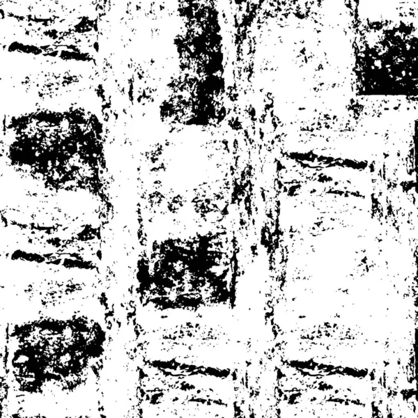 Conception Papier Peint Noir Blanc Avec Des Détails Rayés — Image vectorielle