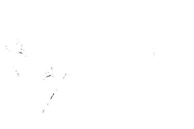 Grunge üst üste biniyor. Soyut siyah-beyaz vektör arkaplanı. Çatlak, leke ve noktalarda kirli desenli tek renkli klasik yüzey. Karanlık korku tarzında eski bir duvar.