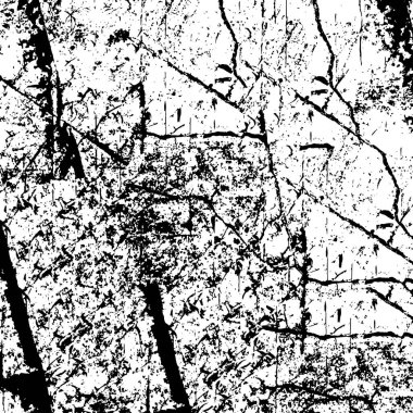 Sert, çizik, sıçramış grunge desenli fırça darbeleri. Dokuları üst üste koy. Siyah-beyaz boyanmış kağıt dokusu. Skeç grunge tasarımı. Poster, kapak, afiş, taklit, çıkartma düzeni için kullan