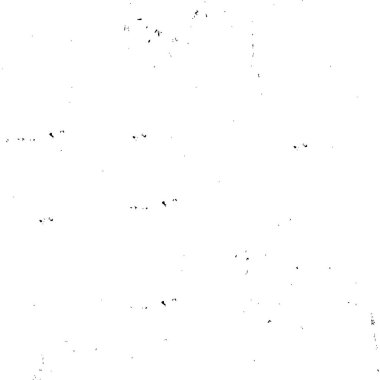 Siyah ve beyaz soyut grunge dokusu. Vektör illüstrasyonu    