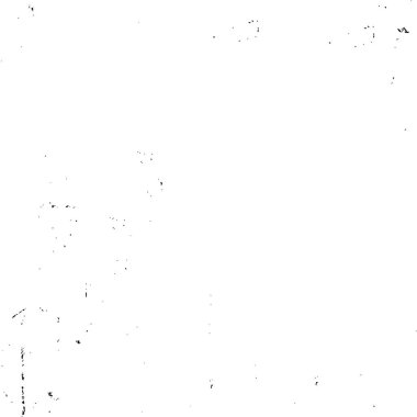 Soyut arkaplan. Monokrom dokusu. Resim siyah ve beyaz tonları içerir.