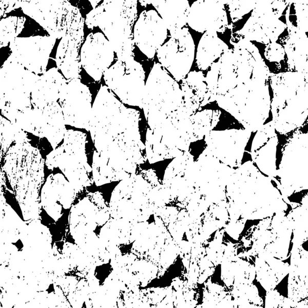 Monochrome Texture Black White Textured Background — Stock Vector
