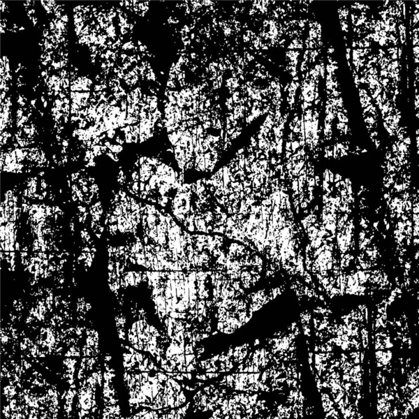 Monochrome Textur Bild Einschließlich Der Wirkung Von Schwarz Weiß Tönen — Stockvektor