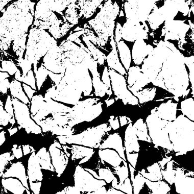 Soyut arkaplan. Monokrom dokusu. Resim siyah ve beyaz tonları içerir.