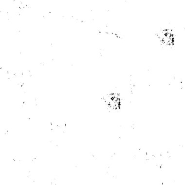 Vektör grunge dokusu. Siyah beyaz arka plan. Soyut monokrom resim koyu tonlarda solmuş bir efekt içerir