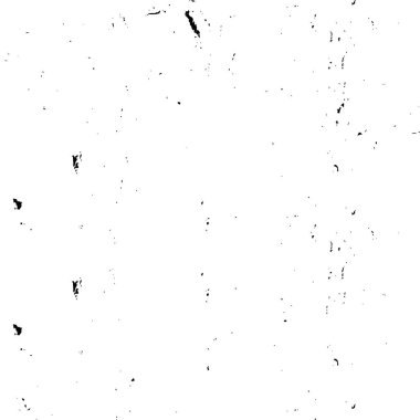 Siyah ve beyaz soyut arka plan. Çatlakların, tozun, lekelerin tek renkli dokusu. Yazdırma ve tasarım için desen