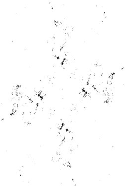 soyut siyah ve beyaz grunge arkaplanı