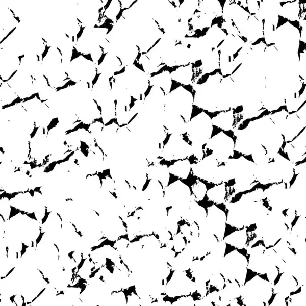 Abstraktní Tvůrčí Pozadí Jednobarevná Textura Černá Bílá — Stockový vektor