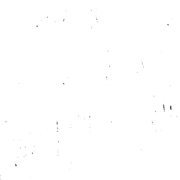 นหล าและส ขาวแบบอ กษร — ภาพเวกเตอร์สต็อก