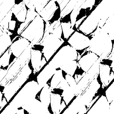 siyah ve beyaz desenli model, arkaplan