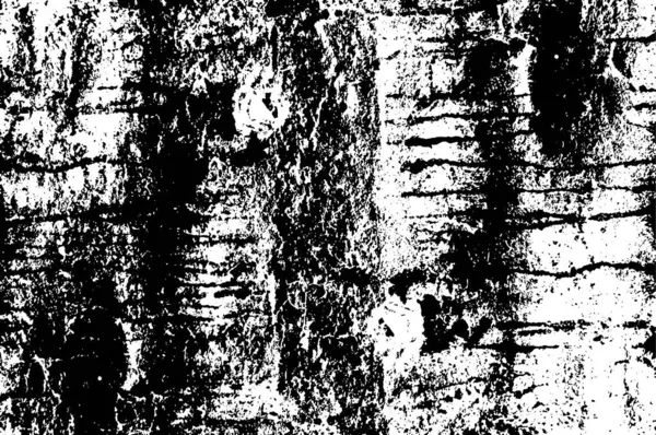 Abstraktní Grunge Pozadí Jednobarevná Textura Černá Bílá Textura Černá — Stockový vektor