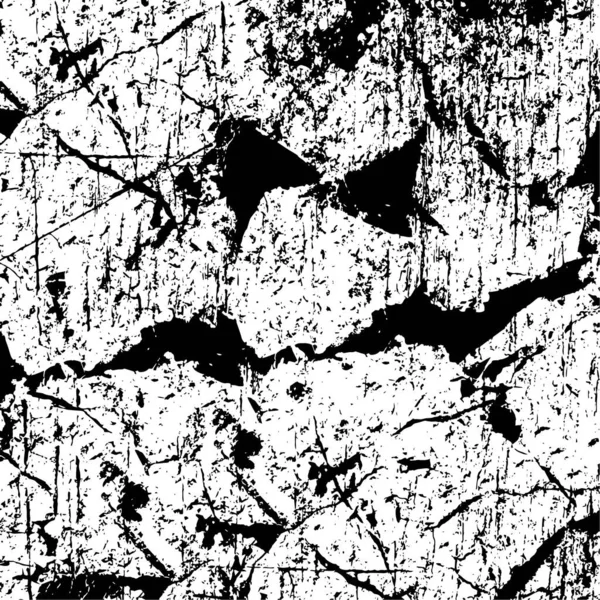 Grunge Texture Web Détresse Noir Blanc — Image vectorielle