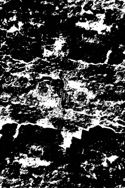Monochrome Textur Bild Einschließlich Wirkung Der Schwarz Weiß Töne — Stockvektor