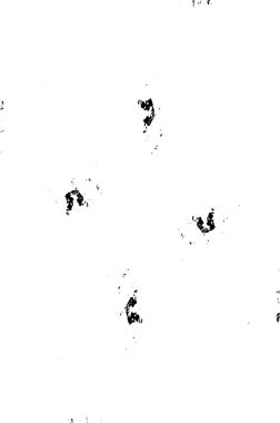 Soyut arkaplan. Monokrom dokusu. Siyah ve beyaz desenli arkaplan.    