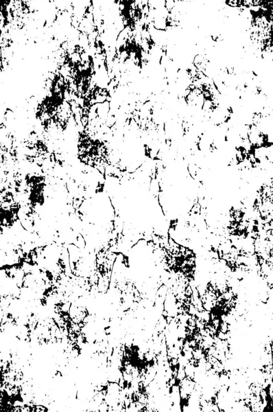黑白质感 抽象的牢骚背景 — 图库矢量图片
