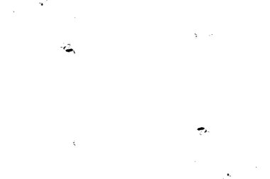 Soyut siyah beyaz doku, grunge arkaplan. Boşluğu kopyala