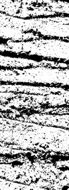 Çatlak betonun sıkıntılı örtülü dokusu