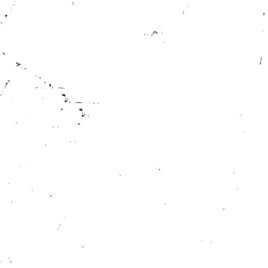 Siyah beyaz doku. grunge arkaplanı