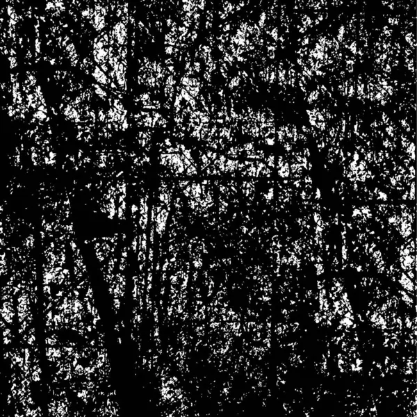 Старий Гранжевий Вивітрюваний Фон Стіни Чорно Біла Абстрактна Текстура Фон — стоковий вектор