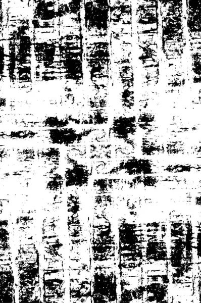 Monochromatická Abstraktní Textura Včetně Efektu Černobílých Tónů — Stockový vektor