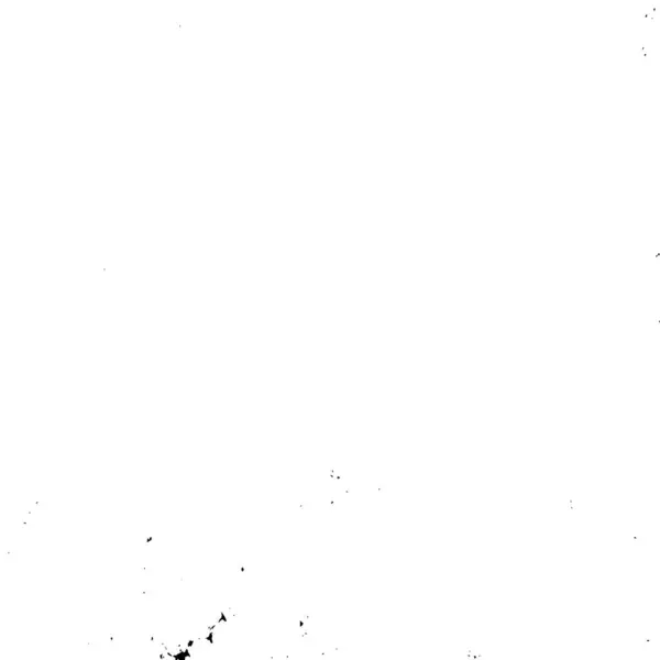 Textura Abstracta Monocromática Incluido Efecto Los Tonos Blanco Negro — Archivo Imágenes Vectoriales
