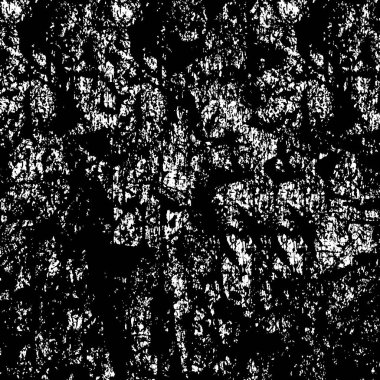 Pis çizikli Grunge monokrom deseni. Dokusu olan siyah beyaz arkaplan.