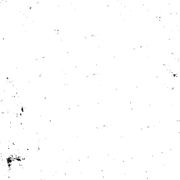 抽象的牢骚背景 单色纹理 黑色和白色纹理 — 图库矢量图片
