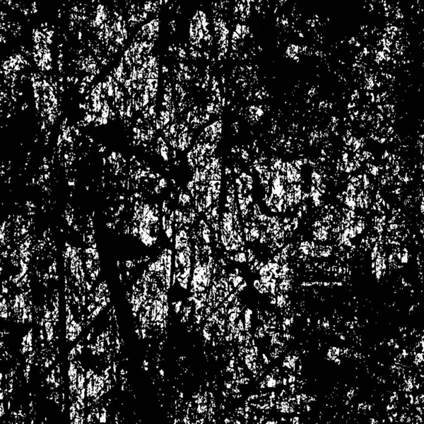Grunge Black White Texture Vector Background — Stock Vector