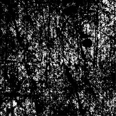 Soyut grunge arkaplanı. Monokrom dokusu. Siyah beyaz arkaplan