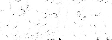 Soyut grunge arkaplanı. Monokrom dokusu. Siyah beyaz arkaplan