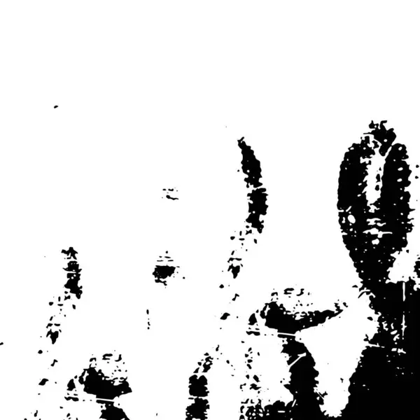 Abstraktní Grunge Textura Černobílých Barvách — Stockový vektor