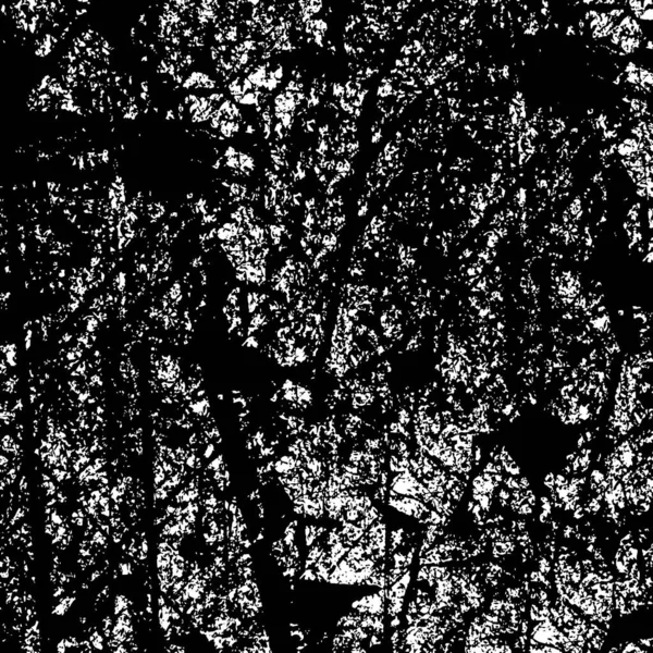 Texture Vectorielle Superposition Grunge Fond Noir Blanc Image Monochrome Abstraite — Image vectorielle
