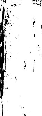 Sert, çizik, sıçramış grunge desenli fırça darbeleri. Dokuları üst üste koy. Siyah-beyaz boyanmış kağıt dokusu. Skeç grunge tasarımı. Poster, kapak, afiş, taklit, çıkartma düzeni için kullan