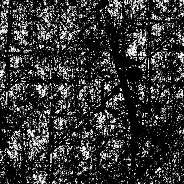 抽象的背景 单色纹理 黑白质感 — 图库矢量图片