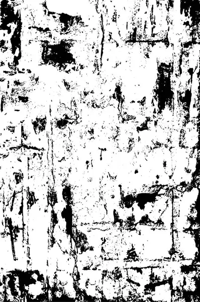 Sfondo Astratto Texture Monocromatica Texture Bianco Nero — Vettoriale Stock