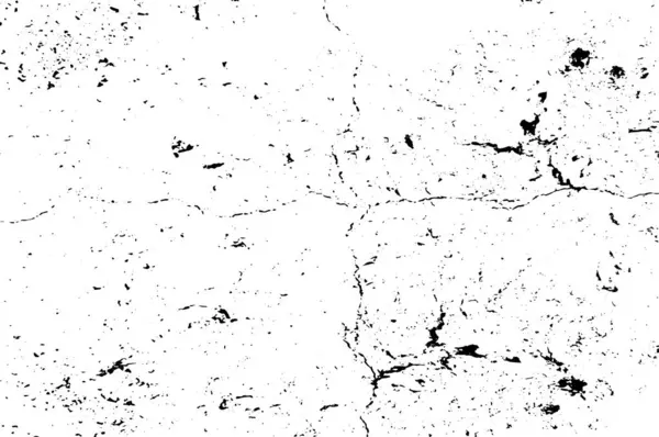 Fondo Abstracto Textura Monocromática Textura Blanco Negro — Vector de stock