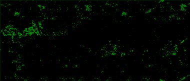 Stresli doku. siyah grunge dokusu. grunge dokusu kaplama dokusu 