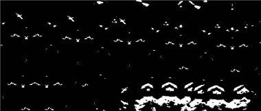 Siyah ve beyaz tonların efekti de dahil olmak üzere soyut dokulu arkaplan.                