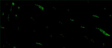 Siyah ve beyaz tonların efekti de dahil olmak üzere soyut dokulu arkaplan.                