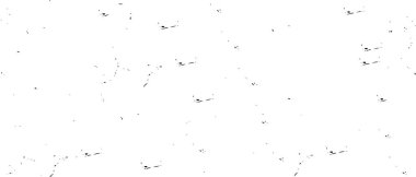 Soyut arkaplan. Monokrom dokusu. 