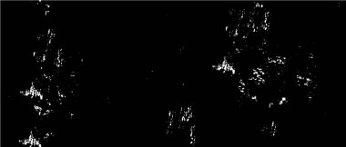 Grunge üst üste biniyor. Soyut siyah-beyaz vektör arkaplanı. Çatlak, leke ve noktalarda kirli desenli tek renkli klasik yüzey. Karanlık korku tarzında eski bir duvar.