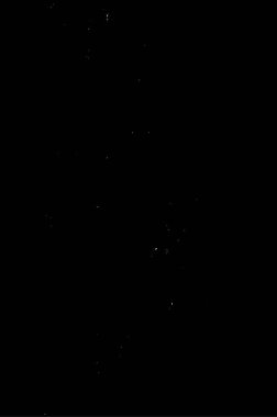 Grunge üst üste biniyor. Soyut siyah-beyaz vektör arkaplanı. Çatlak, leke ve noktalarda kirli desenli tek renkli klasik yüzey. Karanlık korku tarzında eski bir duvar.