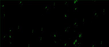 Grunge üst üste biniyor. Soyut siyah-beyaz vektör arkaplanı. Çatlak, leke ve noktalarda kirli desenli tek renkli klasik yüzey. Karanlık korku tarzında eski bir duvar.